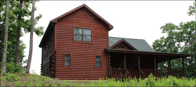 Professional Log Home Borate Application  Pike County, Alabama